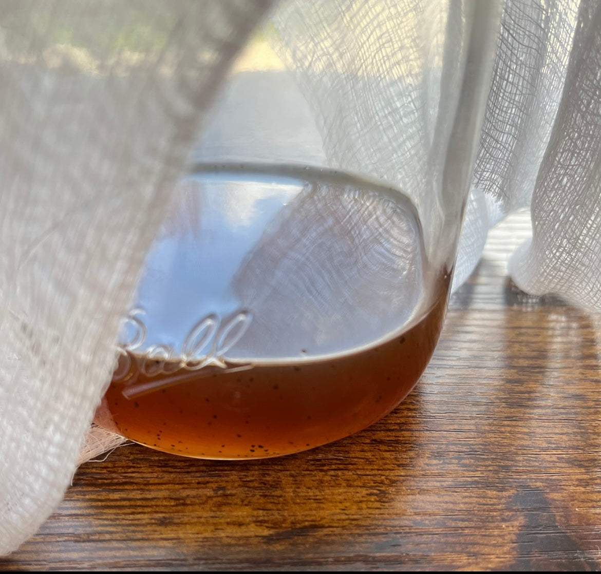 Coffee Infusion Body Butter