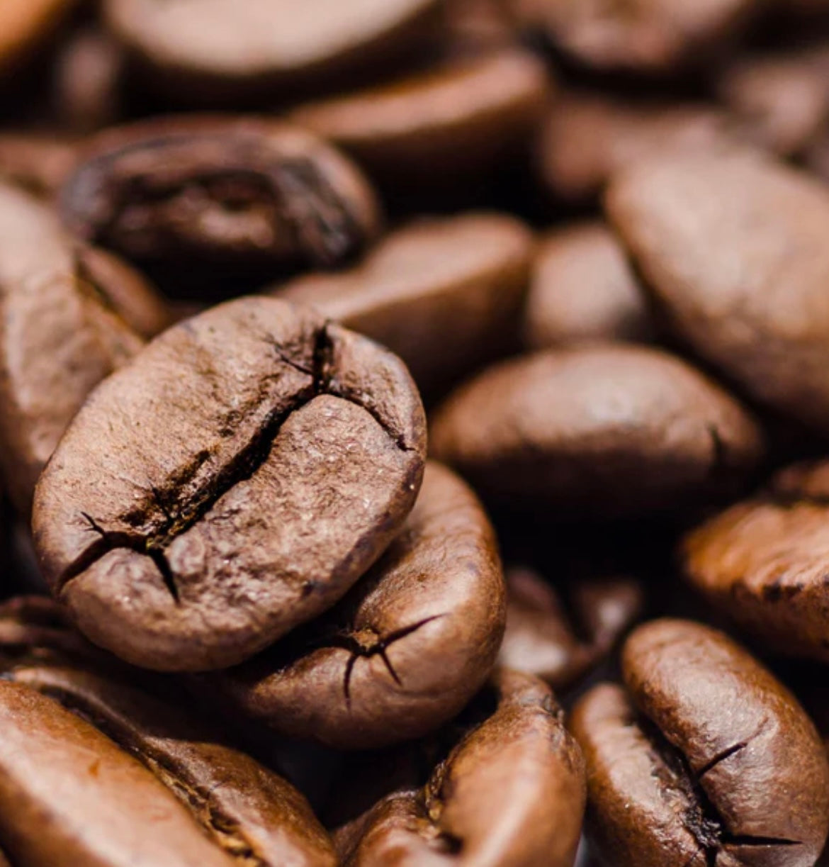 Coffee Infusion Body Butter